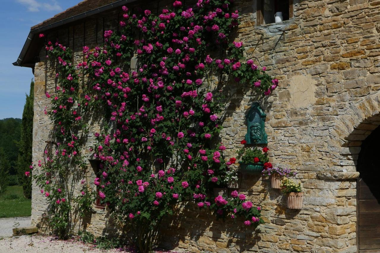 Chambres D'Hotes Secret Pyrenees Lasseube ภายนอก รูปภาพ